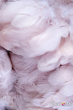Poule - 5-9 cm - beige rosé